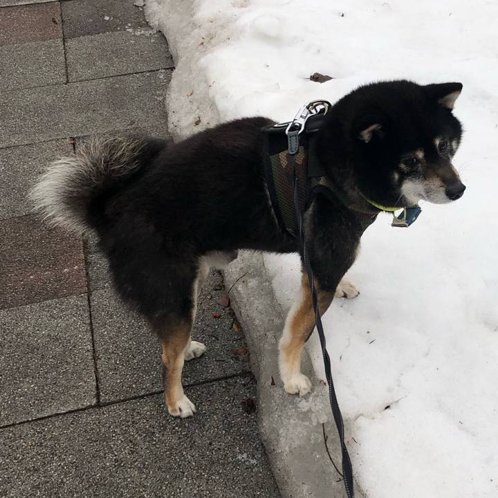 01fa315f 814d 4f58 9ed2 c9a7dd57e222 1616495077831