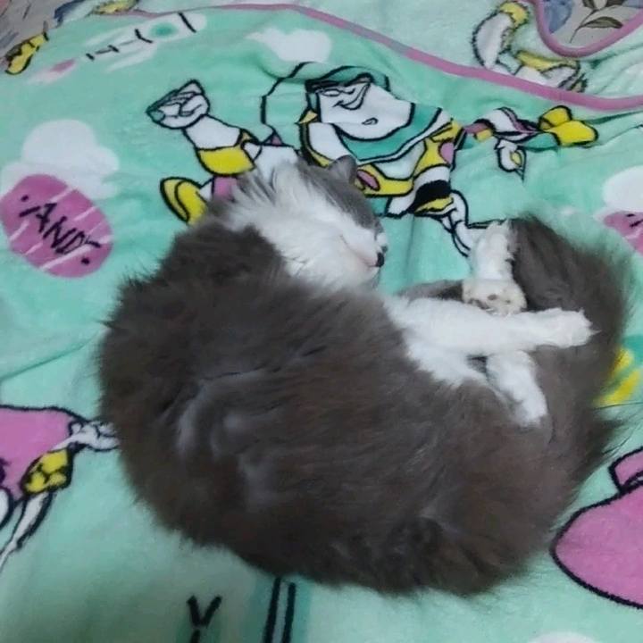 01fa3714 ecef 4430 8c2a 4ef0bb5acbda 1696818220505