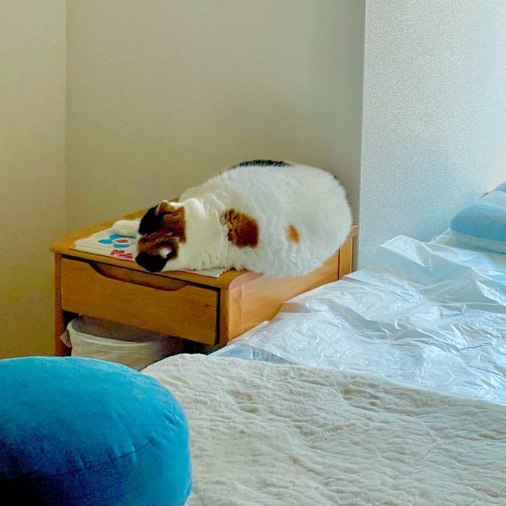 01fa3bb7 3423 47d6 bd30 2c36a2614a91 1657091805425