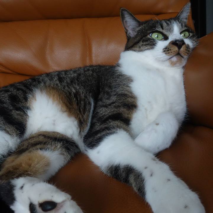 01fa696f 6d98 4b04 9932 dbbee99f549c 1760161179328