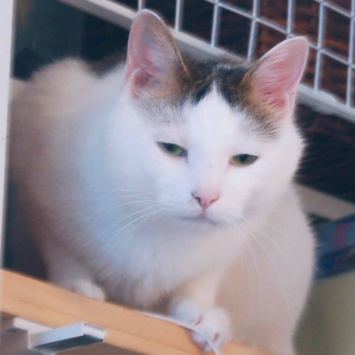 01fa7fe3 9e5d 4938 ba03 f2dd7a8dd8a2 1627912504254