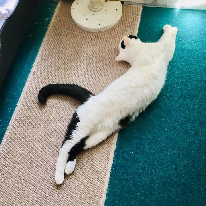 01fa90cf 3331 44a9 8b81 64d5c72e6f20 1556574504776