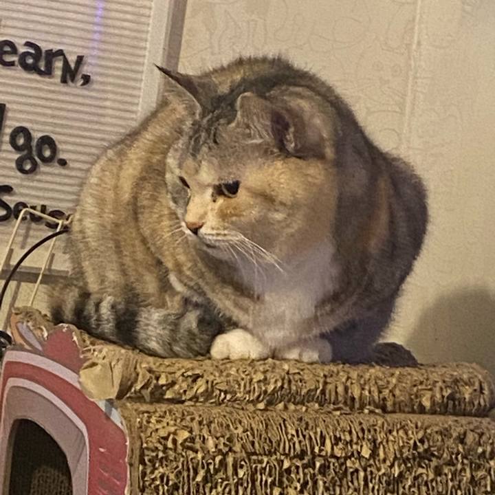 01fa9889 3201 4349 8125 be9e9b017fd8 1675524564065