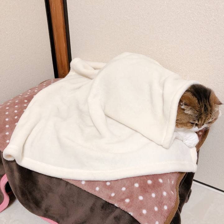 01fa9bfc e6bd 4ac0 a9a4 de181485d3ee 1607183675279