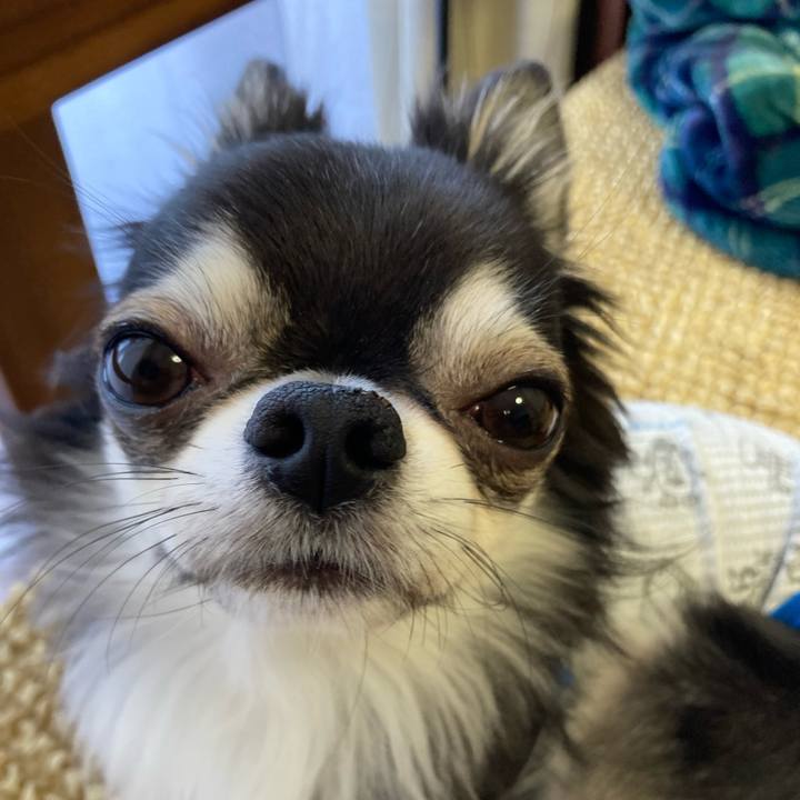 01facde6 e687 49b9 97a6 629553c5bd30 1653825778830