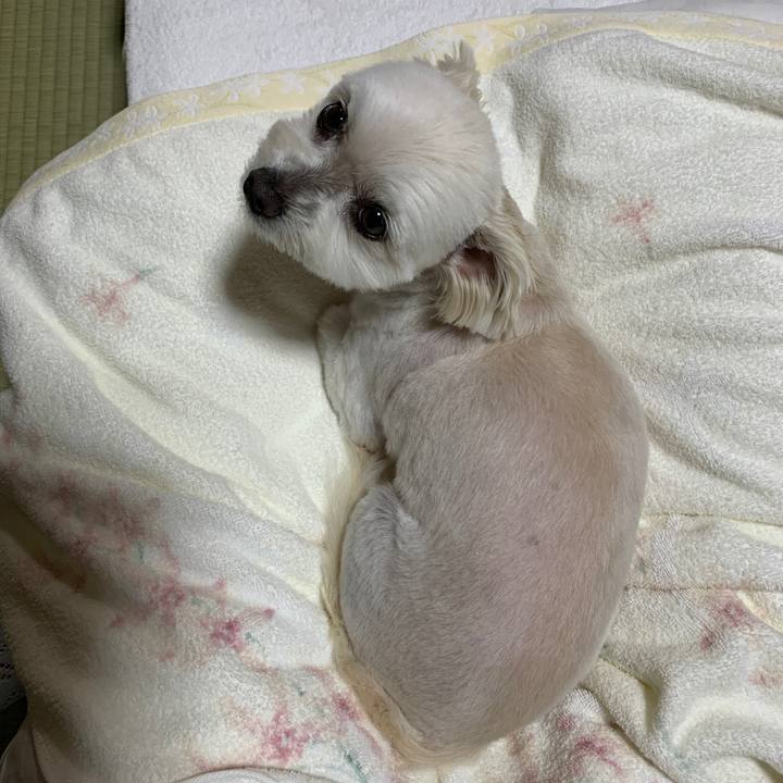 01faf35e 806e 4017 87dc 49bad6cfab6f 1650969212865