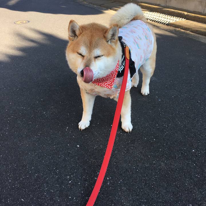 01fb3689 34d1 44d9 9d10 e5723d4a9e0f 1583452386021