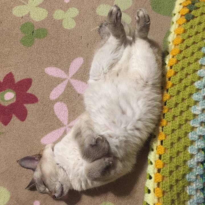 01fb3cd9 6a02 4d66 a6f9 89fd49bcae32 1573295702409