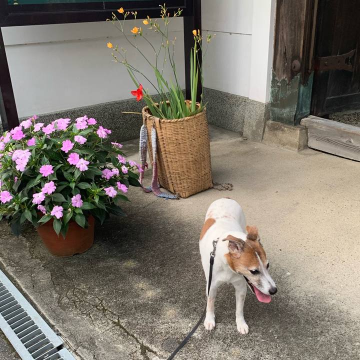 01fb66e4 d948 4c8e a7eb e275d6f8eb23 1596280697091