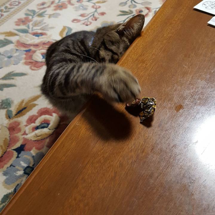 01fb724f 5b62 4d33 a3ca 1946fe4bd479 1513079135957