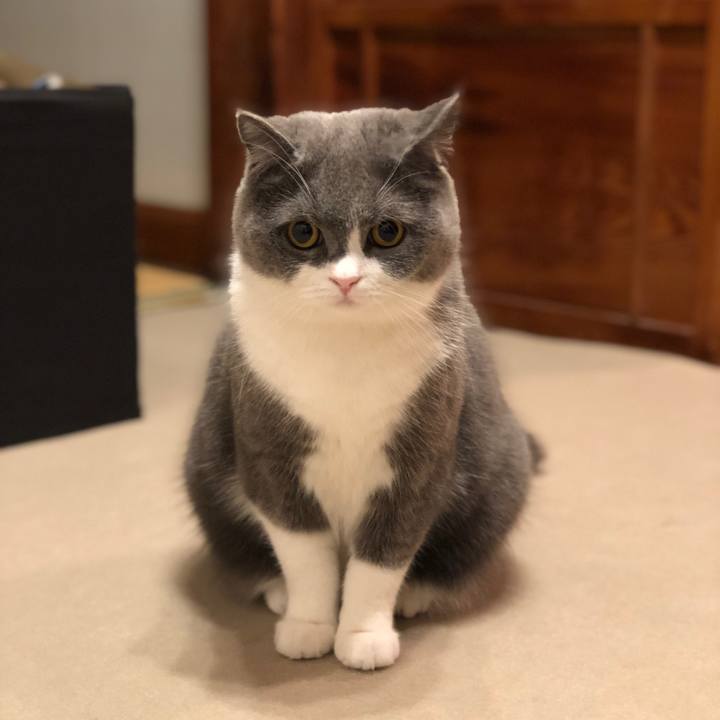 01fb9e52 b1e5 45ec 88d9 0f6c31bea67a 1555590607672