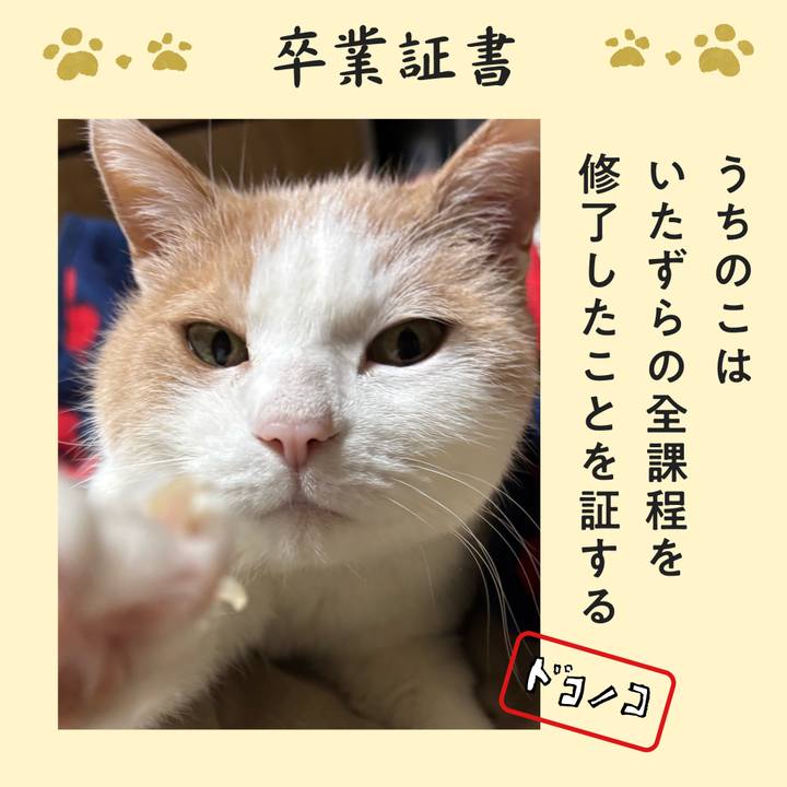 01fba78d 40cc 4fd1 b9ef 5bd659f077bd 1772278561044