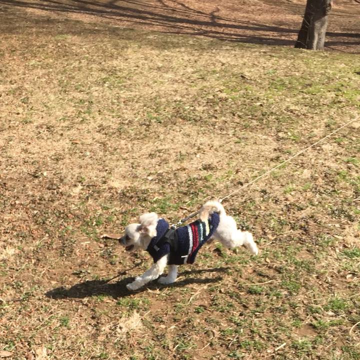 01fbd7a5 c09a 4000 80b3 188de0e770a8 1520068421758