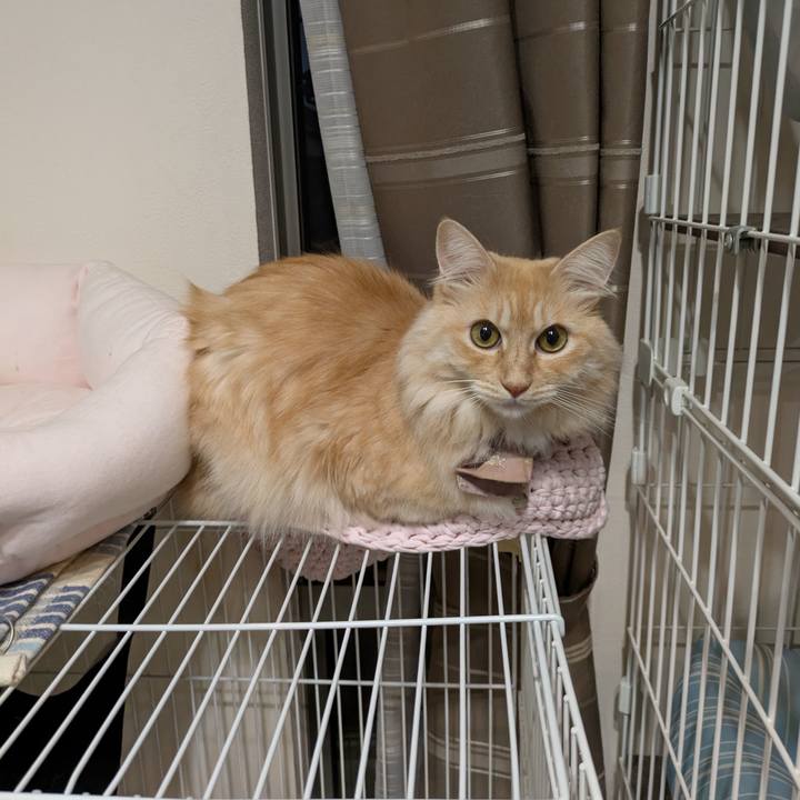 01fbf2bd f1b0 4ccf 9bc2 ef26d3d6f93d 1733483653359