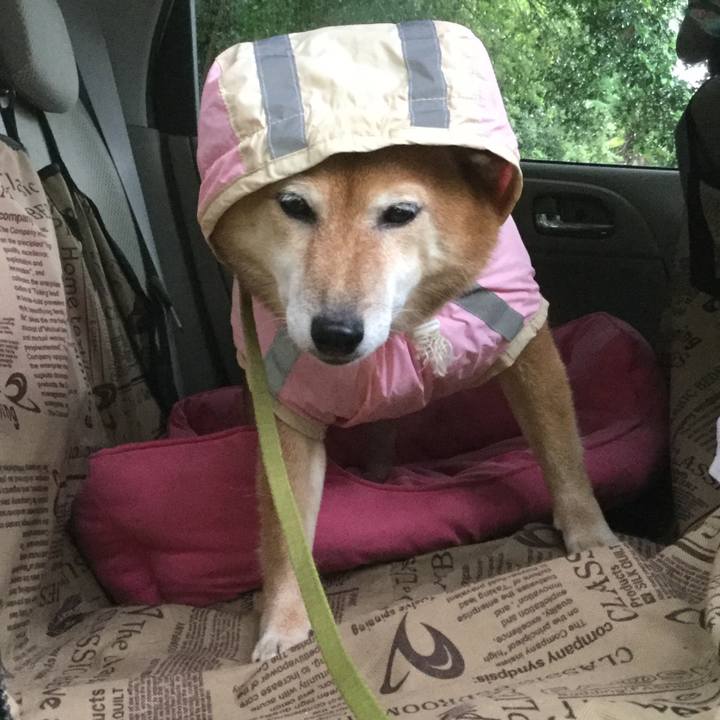 01fbf8ca 0e4b 4e01 a7b4 4978fbb74875 1567144171392