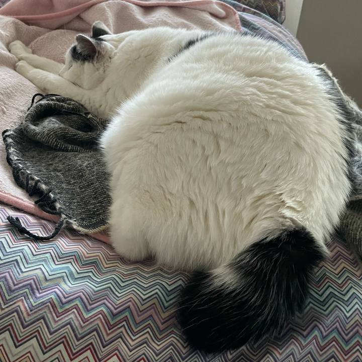 01fc0b77 edde 431d a06a 78b25ef6d4e9 1671507971208