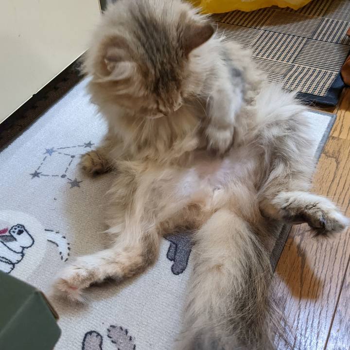 01fc161d a9f9 43b4 946d 16641b7c3b37 1660915672797