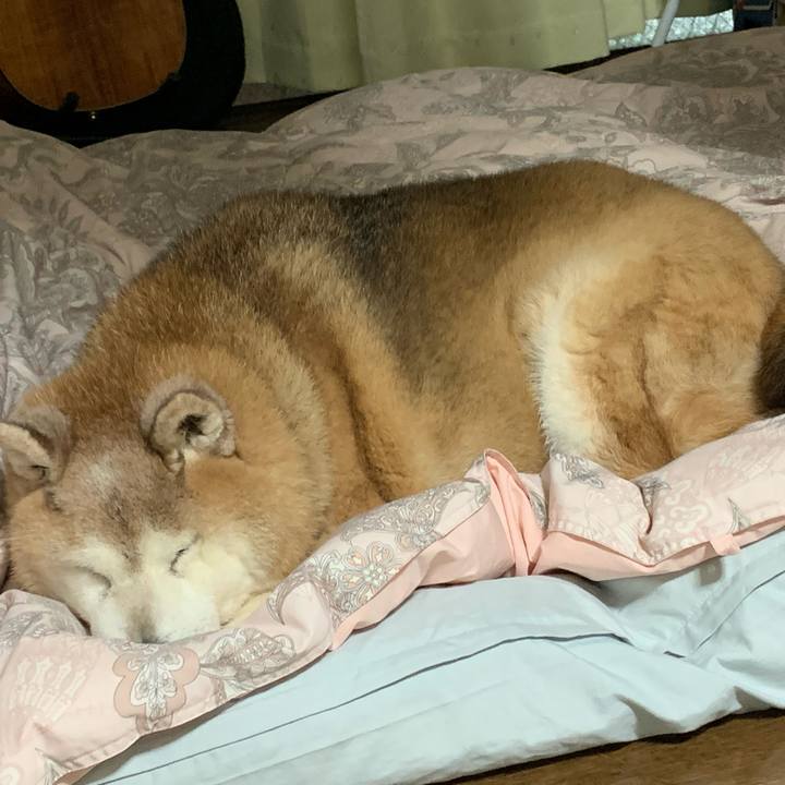 01fc3067 ac8e 4b2b a9b6 93b8baa88ac2 1651412651464