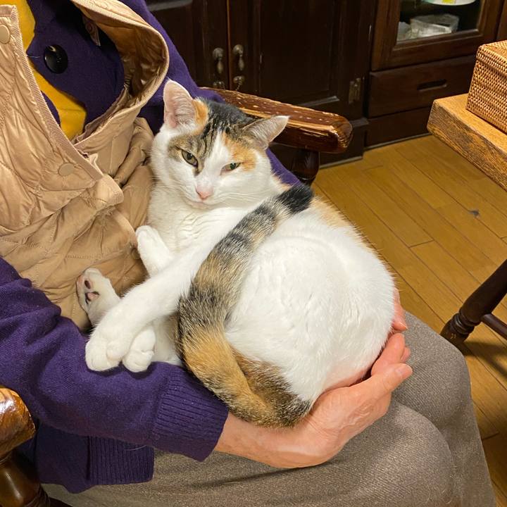 01fc726c 261b 4fc9 be27 1d900d761702 1771078531230