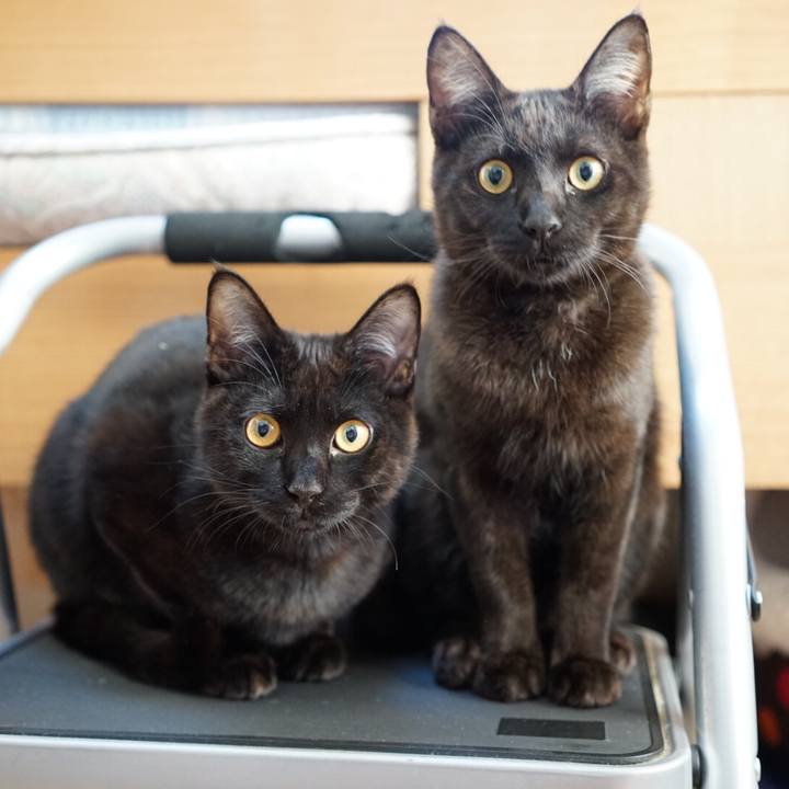 01fc804c 558c 45eb a5f8 df8f910f672d 1511304970724