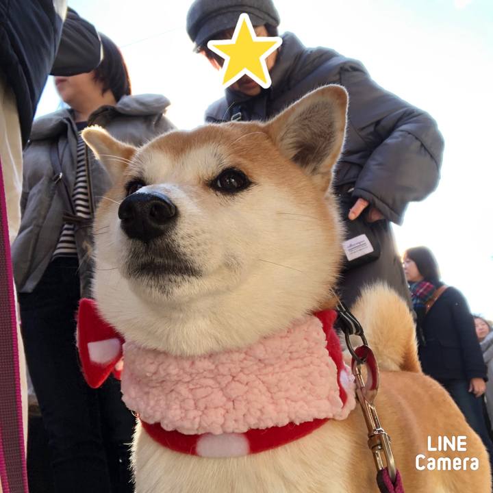 01fccfd8 46c6 4426 978e 26942e3d085f 1546401531524