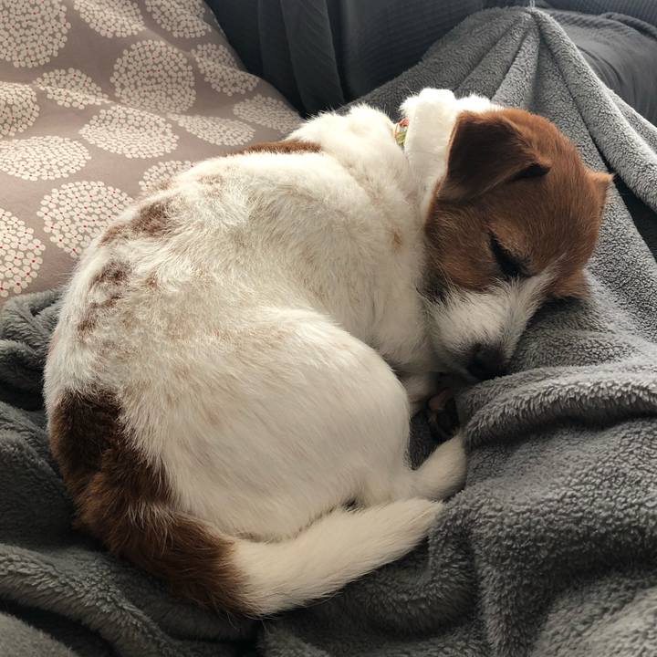 01fcd60f 4ad2 45e9 94da 74ceb519457c 1590206121416