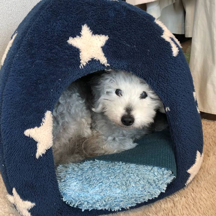 01fcdf1b 1cc9 4dbd 9d61 c64e2b3d695c 1650500283834