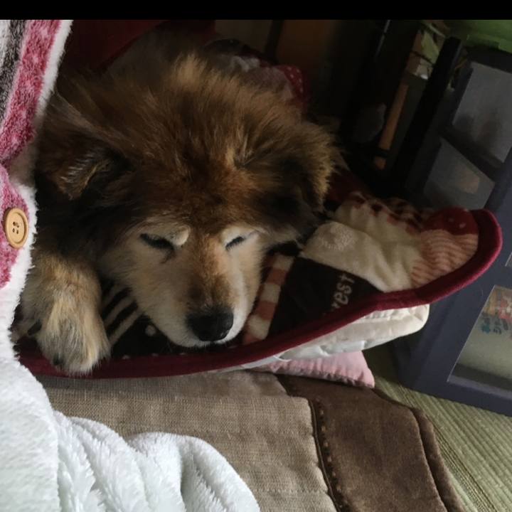 01fd1526 384c 4f4d bef7 58bbad7e248c 1651850144147