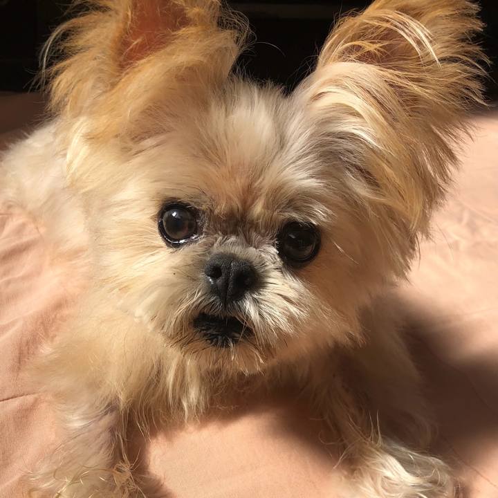 01fd3328 e450 4ff9 a04f db1551a28b7d 1758597518746