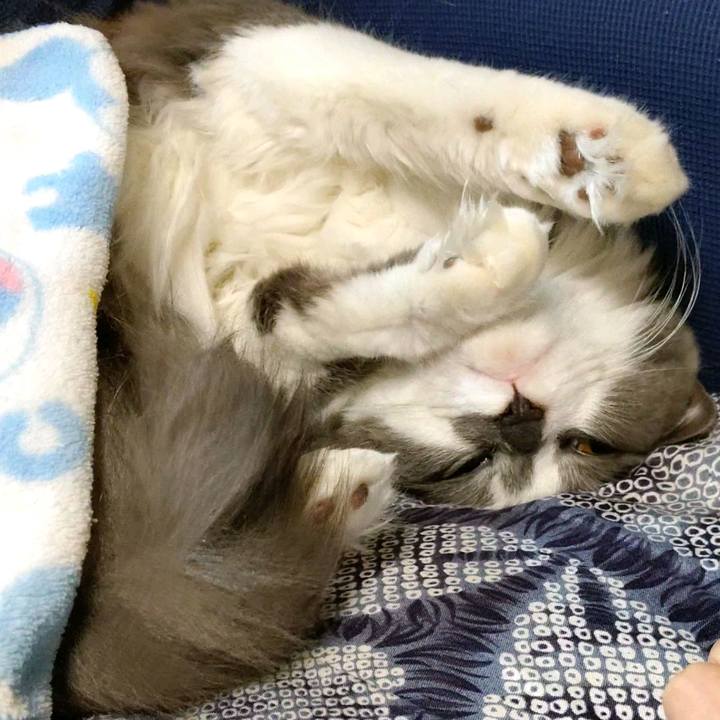 01fd48e3 4417 41e0 8e3c 20c99caaeba5 1605088451066