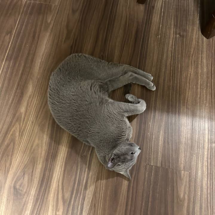 01fd77dd 4e5f 423f 96af f3210e48cc68 1737112581717