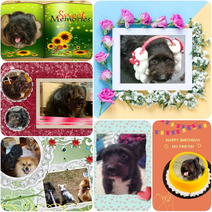 01fde5e1 6128 49d0 af86 8491698e912f 1631139957089