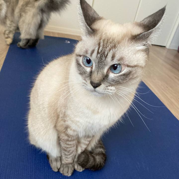 01fe3ffe 9c9c 420f bb3b 520dadb38ed2 1731204603978