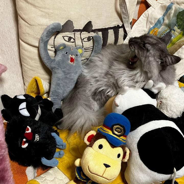 01fe76e6 c30e 4213 805b 1af9f4f978aa 1720081121030