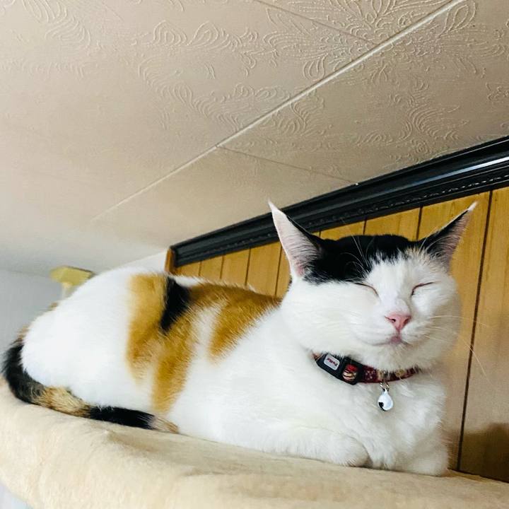 01fe8ede 0474 42d5 9a30 9d4555b38341 1665659248256