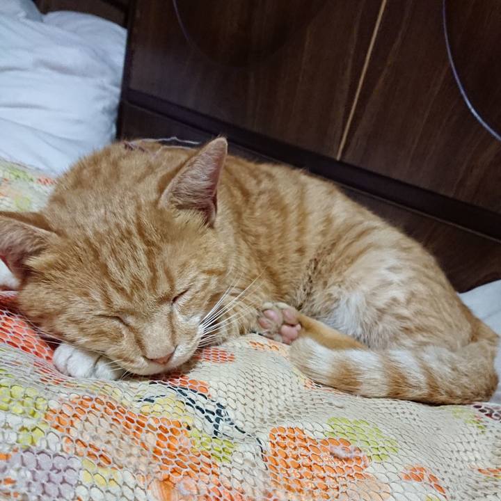 01fe9446 7b15 406a 869b d5e3e6ed9b0e 1568293157714