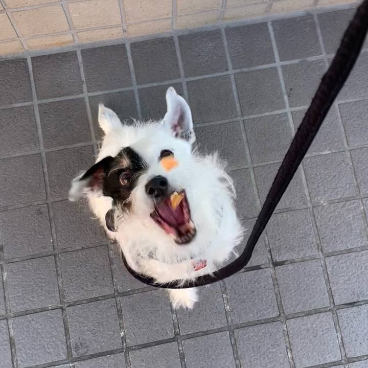 01fe9cdb 7c30 4b72 8c56 add17f0e48e5 1703897797309