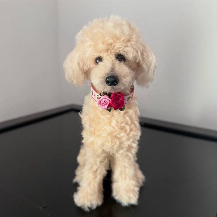 01feaff5 848a 41f9 83ed 86fce0d79509 1740916658090