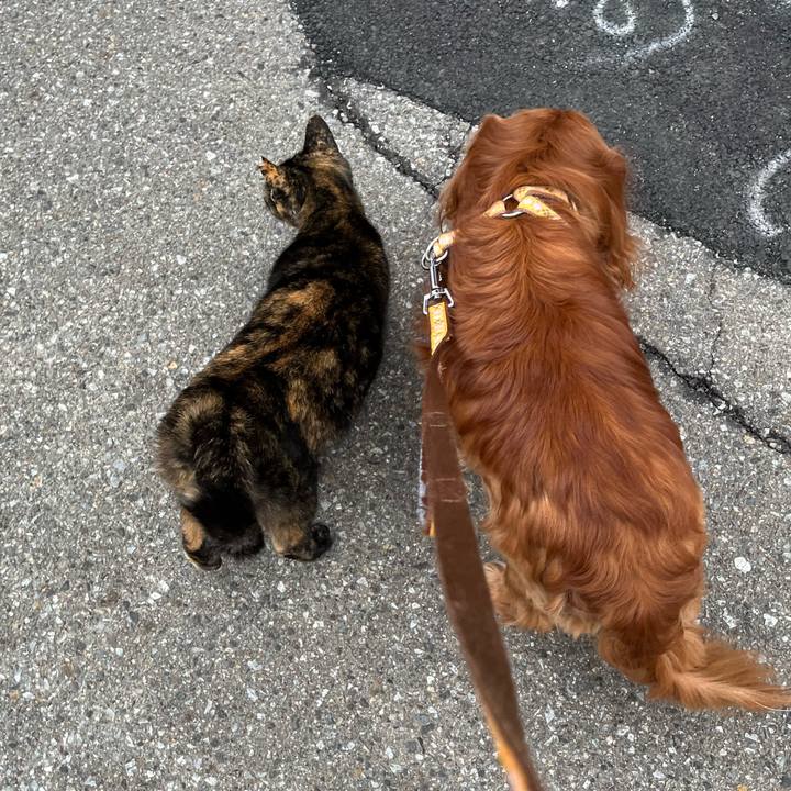 01fef3cc 56f9 457e a91d 2ddbb203af5c 1774401208633