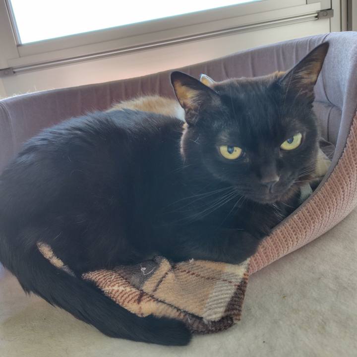 01ff080f 3dfd 4cdc 8550 3a68c4e8aa31 1740100224871