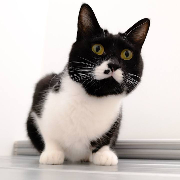 01ff0c46 9db3 4182 9971 422cf18debae 1548430346712