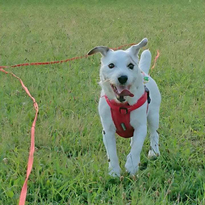 01ff35d2 7cf4 4822 a828 706dce318044 1593216370463