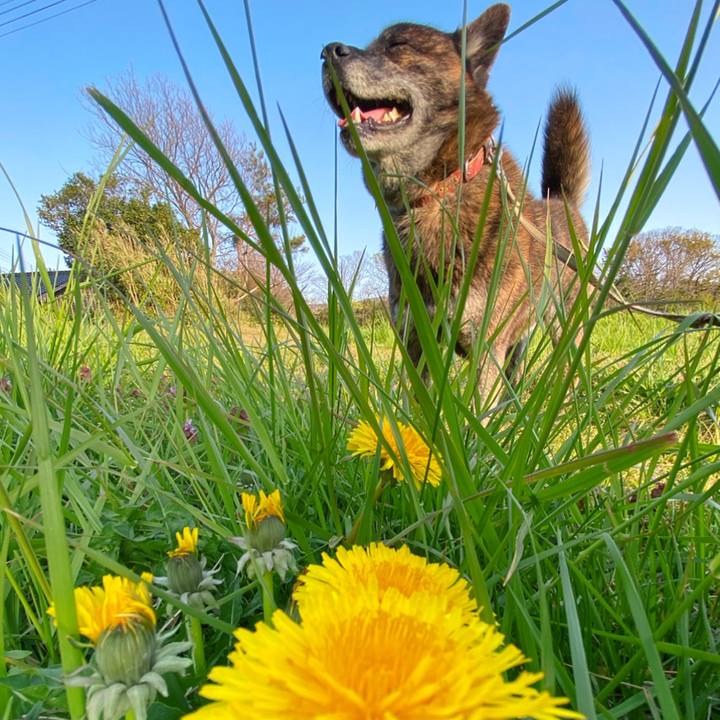 01ff49ac 4f50 400c 8266 0efc16d0970e 1587804880412