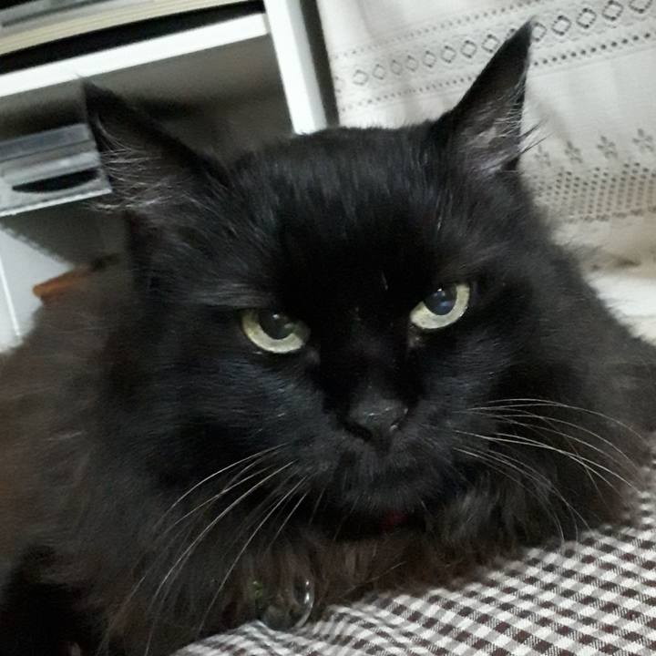 01ff7eb5 d06e 40df 95ba 7bc38fa584d4 1532082120772