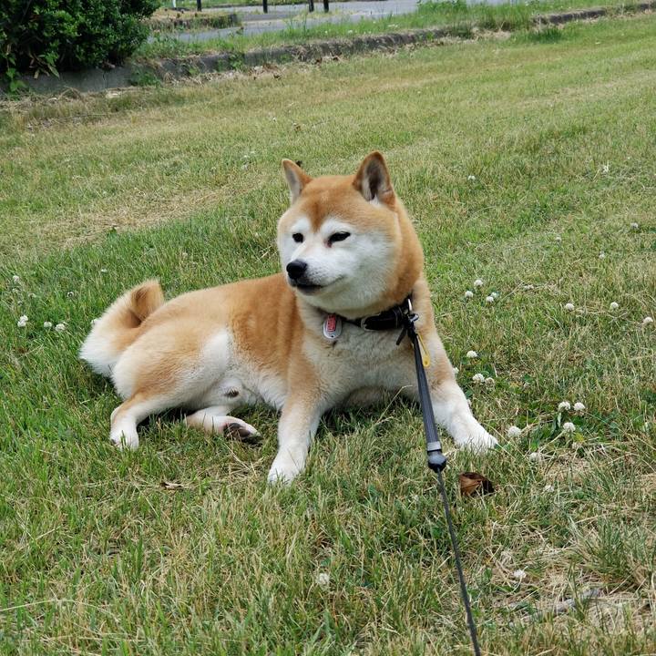 01ff8fc8 b72c 4f76 a572 49b2f4b05593 1591429056331