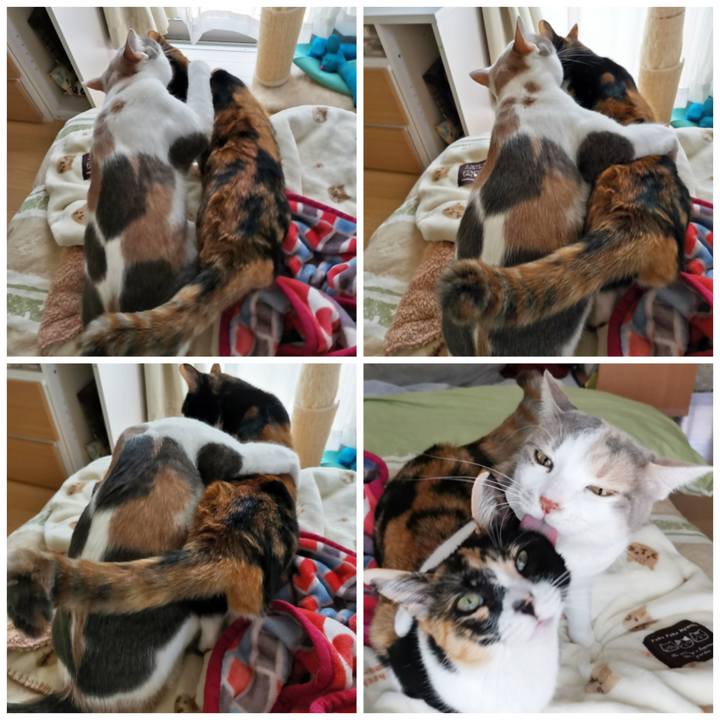 01ff99e9 58e7 498e 9c8a 8cbb2b112601 1620203826720