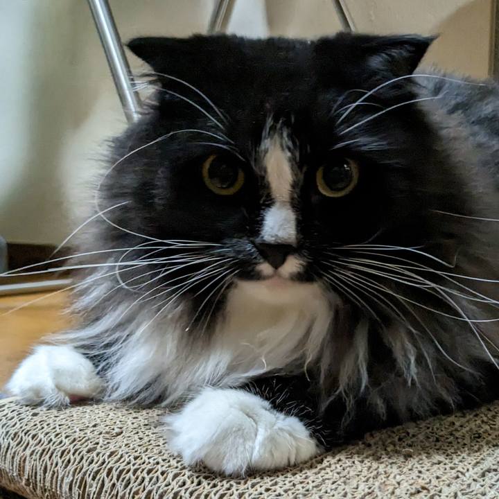 01ffa5f6 aa1c 46d5 b926 c35cfabe5e0b 1686960420091