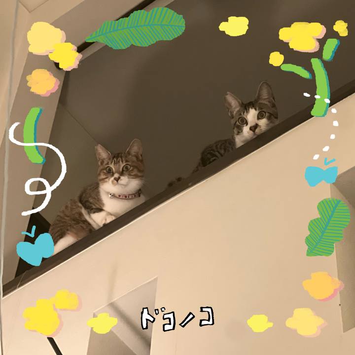 01ffcf22 1a8f 49d9 ba28 8fa984d48281 1744290095240