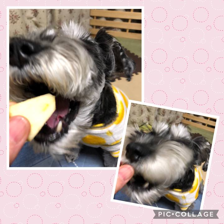 0200047e 243e 49ea 8847 da08693f6798 1704371778296