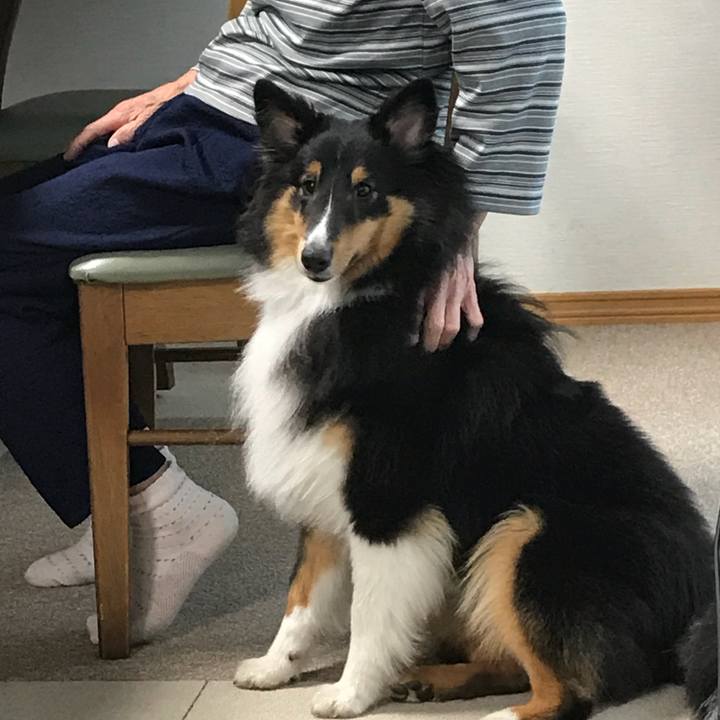 02003062 7074 4b72 9662 2e98a3ab74c2 1533505935806